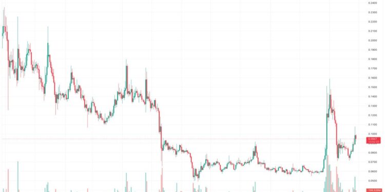 Dogecoin Price Prediction as Donald Trump Returns to Twitter – DOGE Integration Soon?