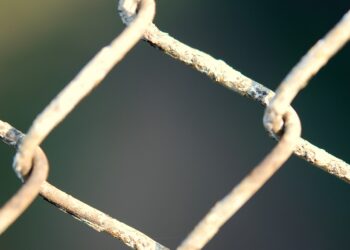 Chainlink Price Skyrockets Amid High Whale Activity