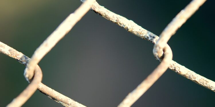 Chainlink Price Skyrockets Amid High Whale Activity