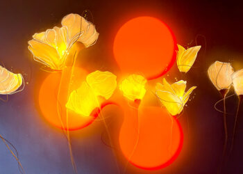 XRP Holders File Amicus Brief in Support of Ripple, Say SEC Winning Lawsuit Would Harm Innocent Crypto Users