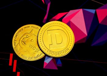 ‘High-ranking’ S Korean Civil Servant Caught Trading DOGE During Key Meeting