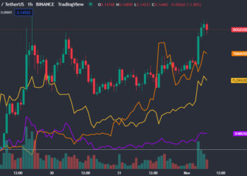 Meme Coins Rising With Dogecoin Price? Shiba Inu, Tamadoge, FLOKI