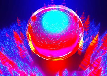 On-Chain Metrics Suggest Crypto Is Nearing the Bottom of the Bear Market Despite Recent Price Woes: IntoTheBlock