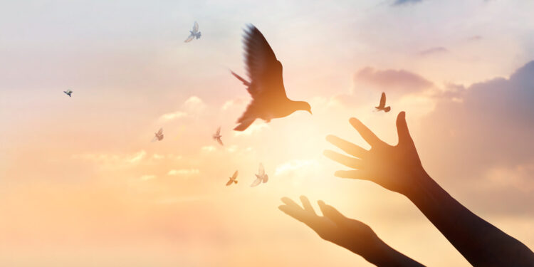 Bitcoin Price Recovery Remains Capped, Why 100 SMA Is The Key