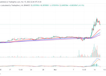 Best Crypto to Buy Now 15 November – D2T, TWT, IMPT, QNT, RIA