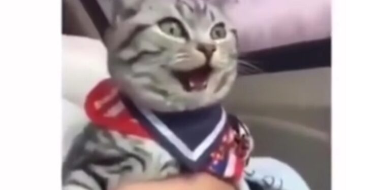 Piloting into Digital Economy, Leading the Fraud Rings, Stealing Billions and 20 Crypto Jokes