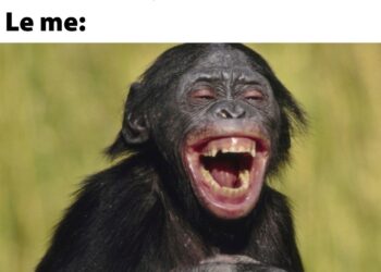 ‘I’m Not a Regulator, But I Can Take a Look’ and 20 Crypto Jokes