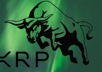 Whale Accumulation Paints Bullish Picture For XRP
