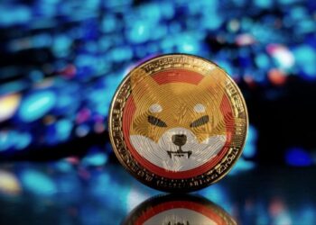 Shiba Inu Lead Dev Ignites Buzz About New Partnership