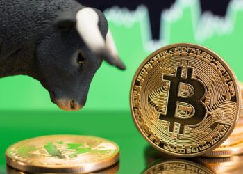 Bitcoin Could See Another Bull Rally If This Happens