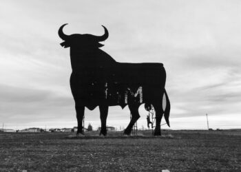 50% Bitcoin Holders At A Loss, Why This Is Positive For BTC