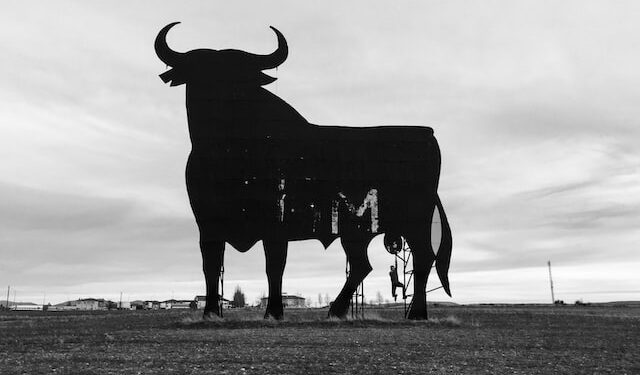 50% Bitcoin Holders At A Loss, Why This Is Positive For BTC