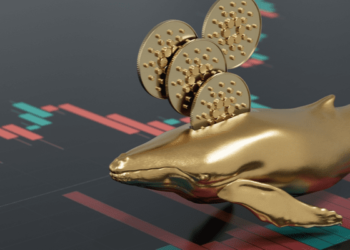 Bitcoin Will Trend Lower Because Whales Are Still Selling