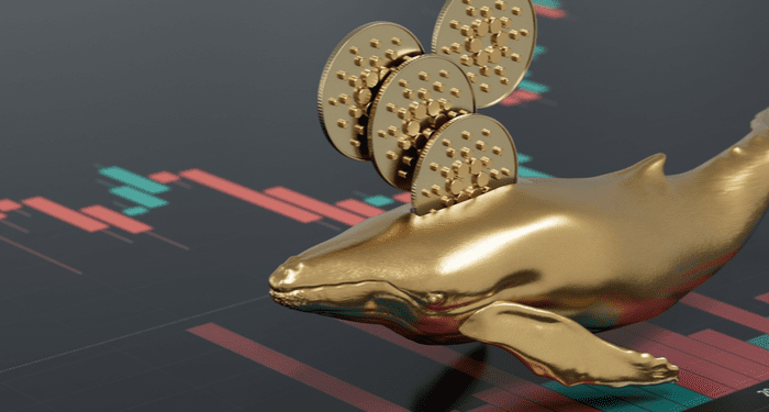Bitcoin Will Trend Lower Because Whales Are Still Selling
