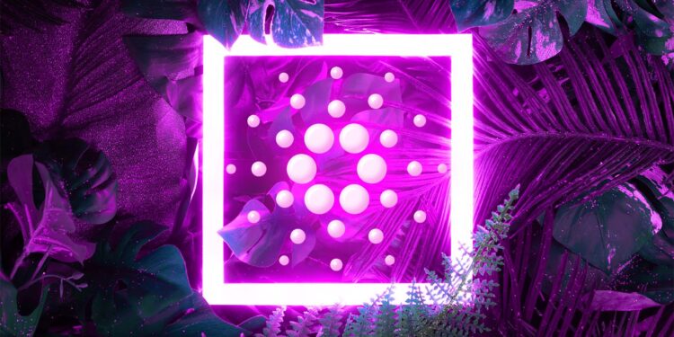 Coin Bureau Host Details Cardano Outlook, Says These Catalysts Will Determine ADA’s Long-Term Performance