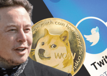Musk Lifts Twitter Ban On Dogecoin Accounts; DOGE Pumps 7%