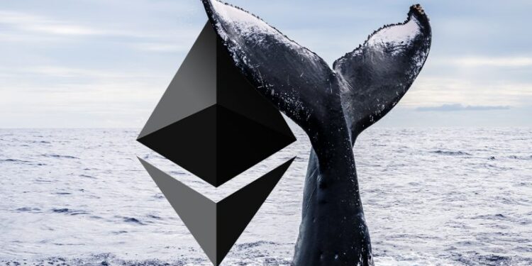 Ethereum Price Balks As Dormant Whales Reactivate
