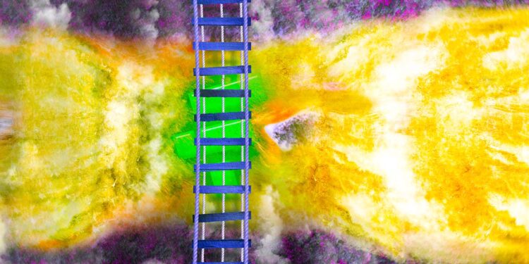 Billionaire Chamath Palihapitiya Calls FTX Implosion a Sophisticated Con Perpetrated on Millions of People