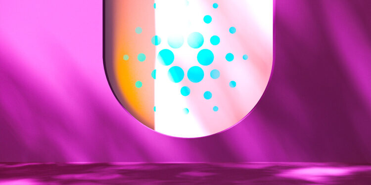 IOHK Executive Says Cardano (ADA) and Crypto in the Dot Com Stage of Development