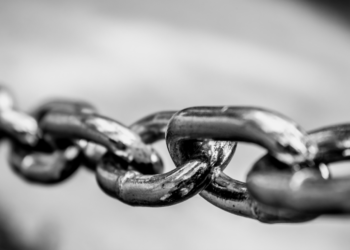 LINK Price Keeps Its Steady Pace With 7% Surge In Last 7 Days