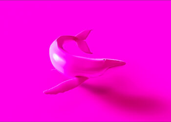 Mysterious Shiba Inu Whale Abruptly Moves 2,673,966,699,162 SHIB in Massive Crypto Transaction