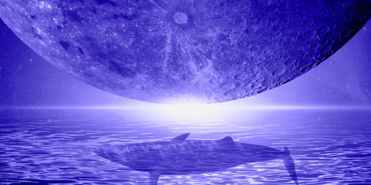 Shiba Inu Whale Abruptly Moves 2,871,107,065,473 SHIB in One Massive Crypto Transaction