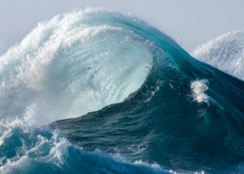 WAVES Gets Dragged Down By USDN, Despite Pumping Investor Distribution