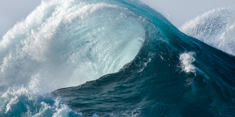 WAVES Gets Dragged Down By USDN, Despite Pumping Investor Distribution