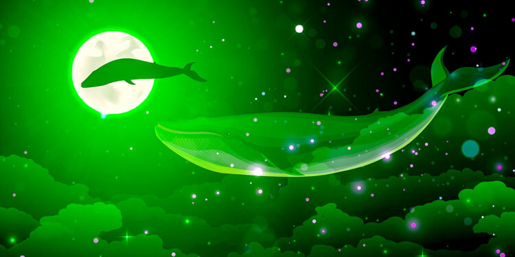 Whales Relocate $440,000,000 in Bitcoin and XRP As Market Volatility Returns – Here’s Where the Crypto Is Going