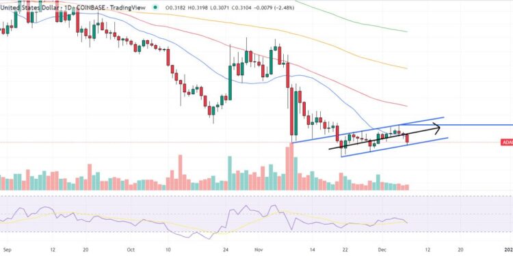 Cardano Price Forecast – Can ADA Overtake Dogecoin This Week?