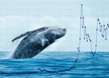 Crypto Whales are Accumulating These Little Known Altcoins – Here’s Why