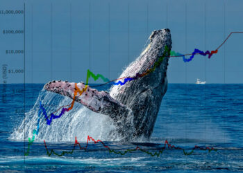 Crypto Whales are Adding These Altcoins to Their Portfolios Before the Next Bull Market – Find Out Why