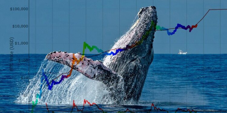Crypto Whales Say These Altcoins are Poised for Explosive Growth – Here’s Why