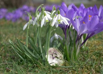 Next ‘Crypto Spring’ Could Be ‘Unlike Any Other’ – Because of This Factor