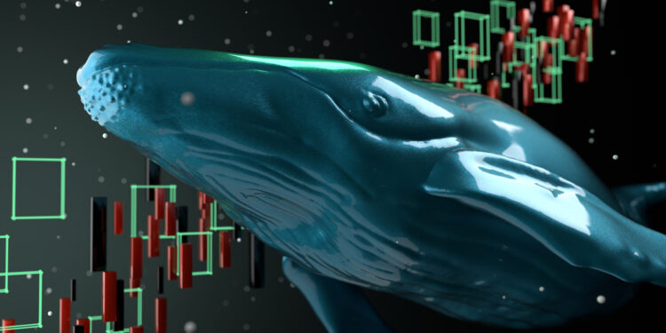 Crypto Whales Just Added These Coins to Their Portfolios – Find Out Why