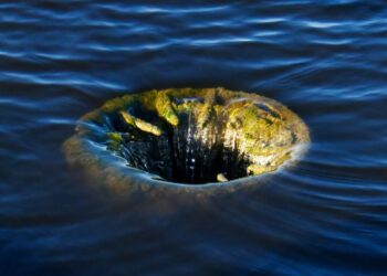 Creditors of Troubled Crypto Brokerage Genesis Seek Options to Avoid Bankruptcy