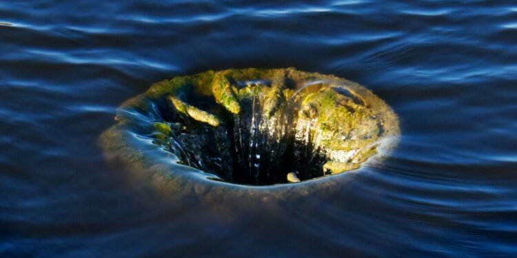 Creditors of Troubled Crypto Brokerage Genesis Seek Options to Avoid Bankruptcy