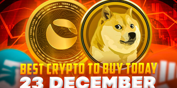 Best Crypto to Buy Today 23 December – FGHT, LUNC, D2T, DOGE, CCHG