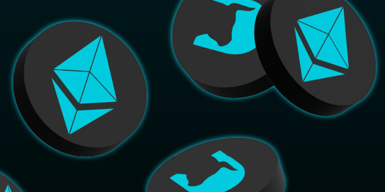 Bitcoin & Ethereum Price Recover, New Crypto Coins Pumping