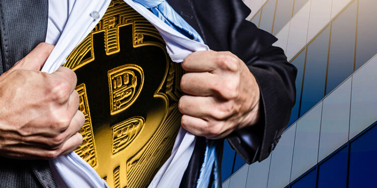 Bitcoin Retail Investors Now Hold 17% Of Total BTC Supply, But Is It Good News?