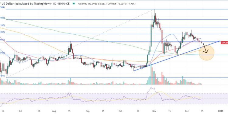 Can DOGE Recover After Elon Musk Loses the Title of World’s Richest Person?