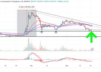 Dogecoin Price Prediction as Elon Musk Says He Will Resign as CEO When This One Thing Happens – Is DOGE Doomed?