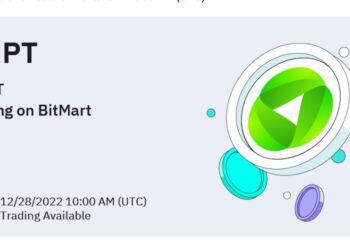 Crypto Experts are Stocking Up on These Altcoins Before the New Year – Find Out Why