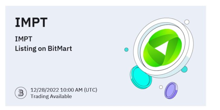 Crypto Experts are Stocking Up on These Altcoins Before the New Year – Find Out Why