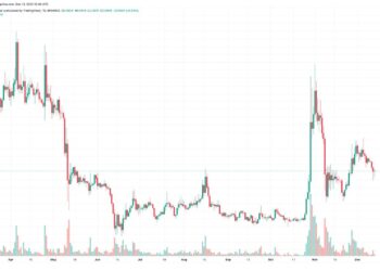 Is it Too Late to Buy Dogecoin? 3 Traders Give Their DOGE Predictions
