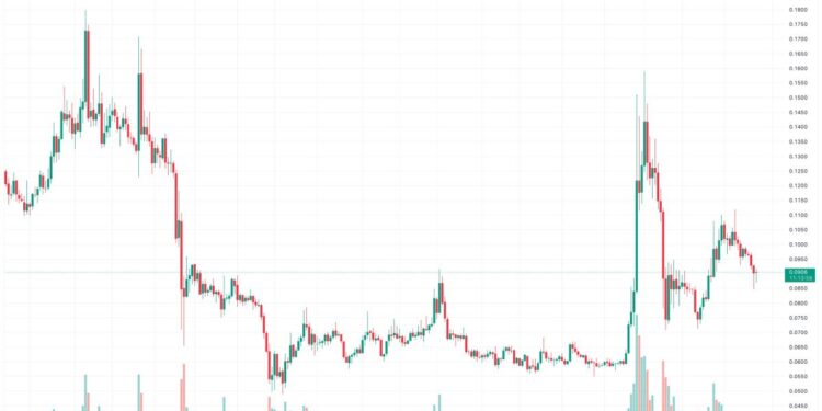Is it Too Late to Buy Dogecoin? 3 Traders Give Their DOGE Predictions