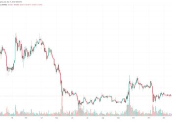 Is It Too Late to Buy XRP? Crypto Experts Give Their XRP Predictions