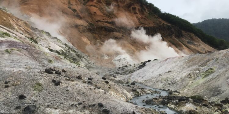 What’s Next For Investors As Cardano Threatens To Slip?