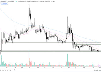 Is it Too Late to Buy Shiba Inu? Crypto Experts Give Their 2023 SHIB Price Predictions