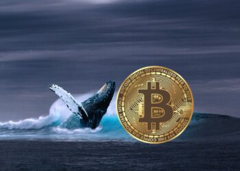 Bitcoin Whales Go On 20,000 BTC Buying Spree